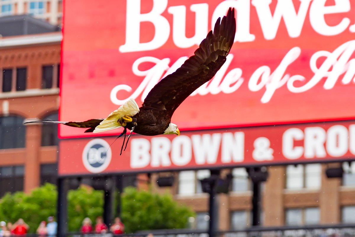 St. Louis Cardinals tweet media