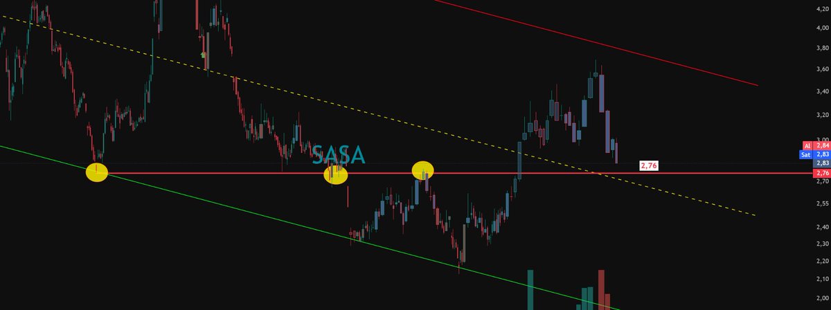 Tradion tweet media