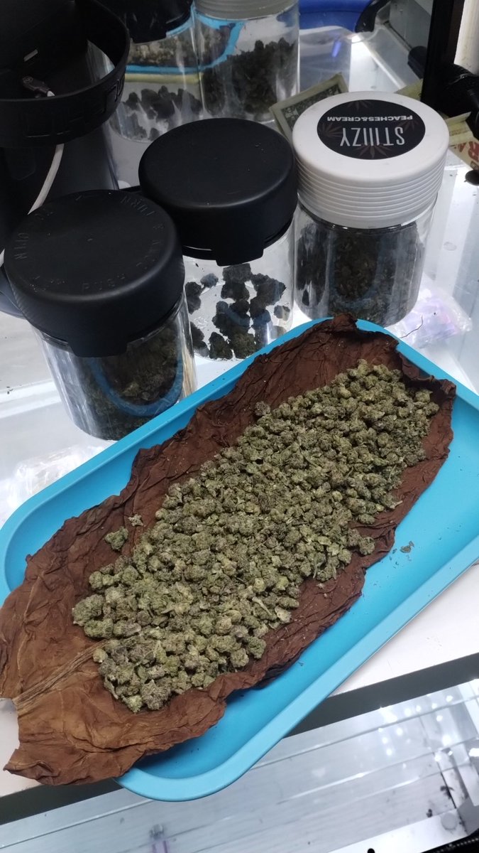 RizzottiDeVille's tweet photo. Who tryna match my L???
(18.5g) https://t.co/xVxWWWGMy8