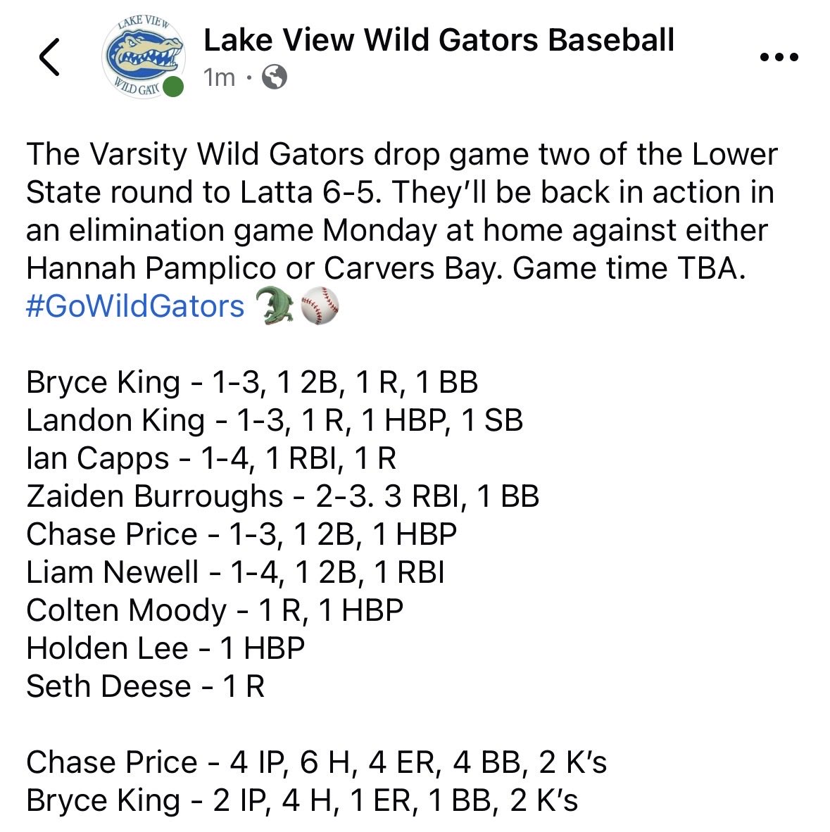 Lake View Baseball tweet media