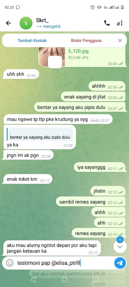 elisa putri tweet media