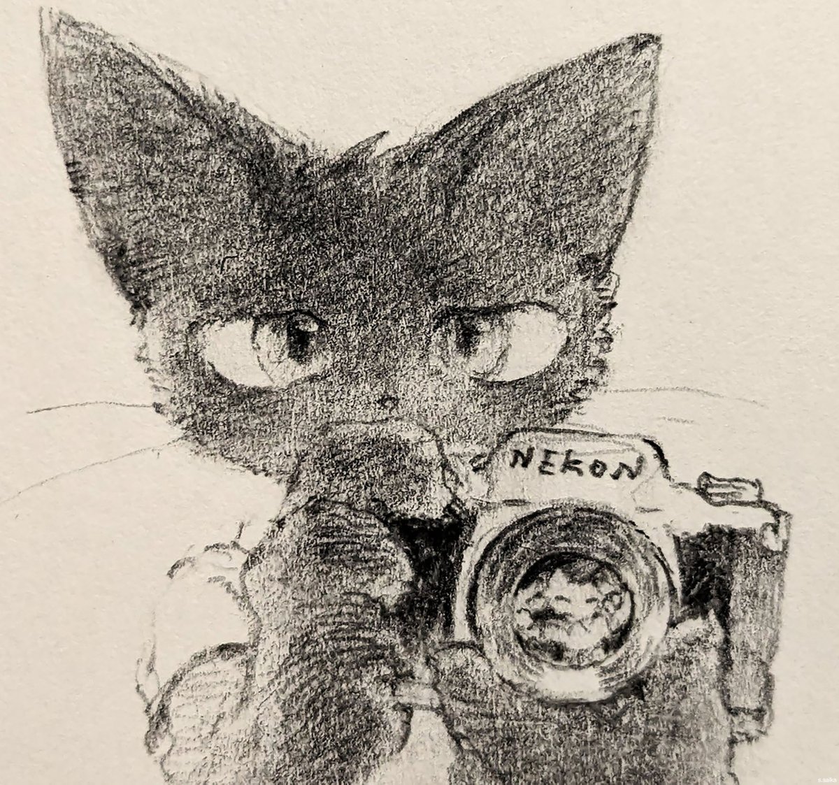 toshoneko個展5.27~ tweet media