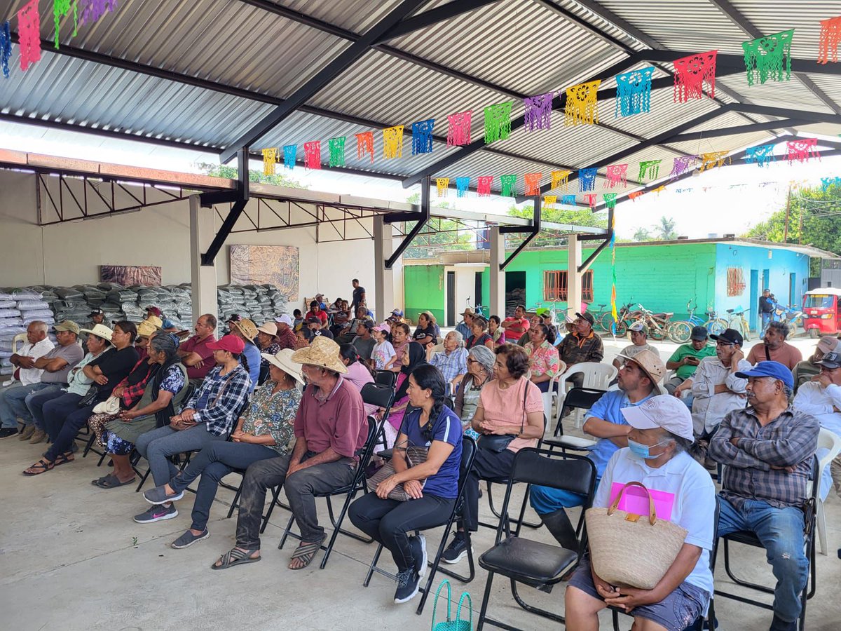 SEFADER_GobOax's tweet photo. 🌽 ENTREGAMOS APOYOS PARA FORTALECER LA PRODUCCIÓN AGRÍCOLA EN VALLES CENTRALES  🤝🚜

Como parte del programa Abasto Seguro de Maíz, coordinado por la #Sefader, se realizó la entrega de paquetes de fertilizantes e insumos en el municipio de Santa Gertrudis, beneficiando a 150 productores mediante 267 acciones 🌱

En esta actividad participaron autoridades municipales, productoras, productores y personal técnico, quienes refrendaron el compromiso de trabajar de manera cercana con el campo y las familias productoras. 👨‍🌾👩‍🌾.

La actividad estuvo  a cargo del coordinador Erick Zafra y el técnico Biól. Jorge López Álvarez.

Con estas acciones se contribuye a mejorar las unidades de producción, fortalecer la siembra de maíz y brindar mejores condiciones para el desarrollo rural de las comunidades. 🌾✅

#FloreceElCampoOaxaqueño