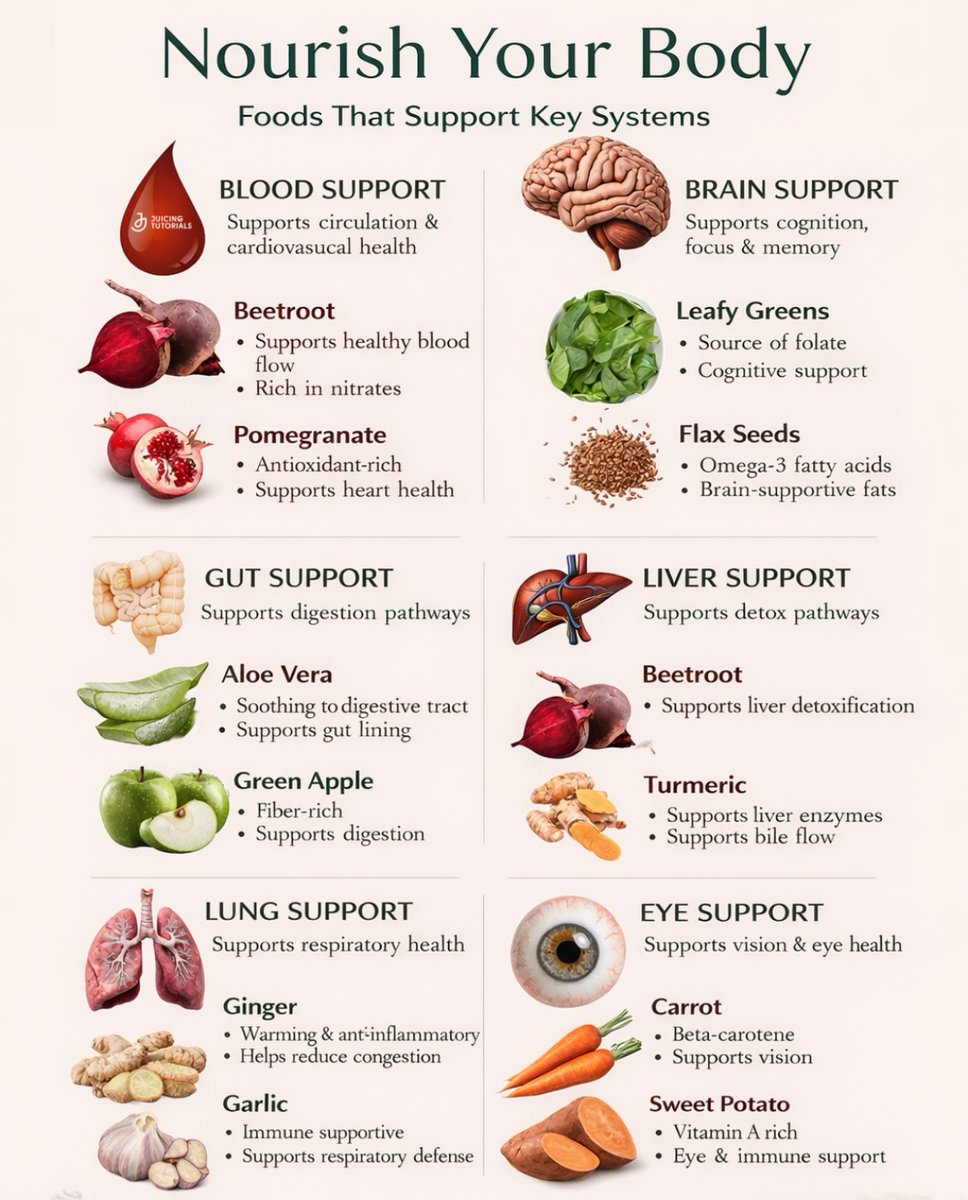 gymsociety's tweet photo. Foods That Support Key Systems https://t.co/8vbiSN8iiP