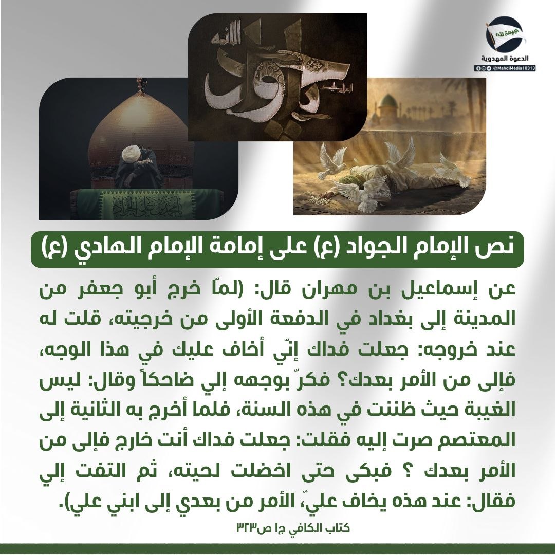 aliali12 tweet media