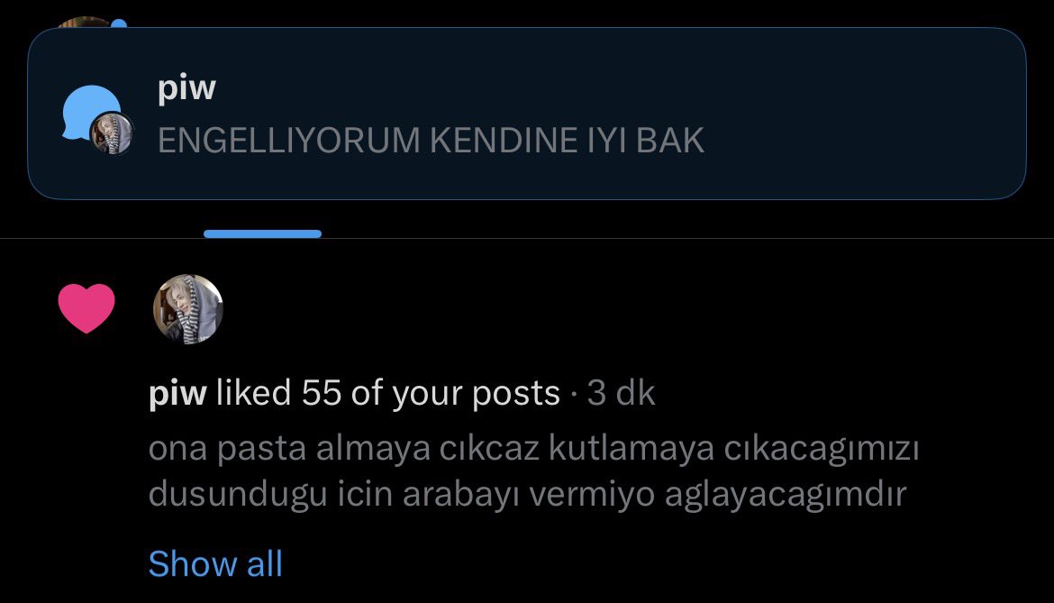 arın tweet media