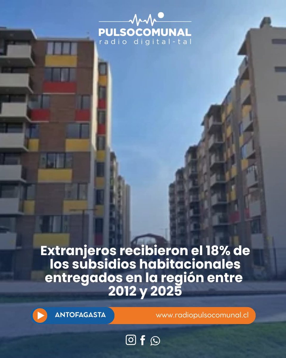 koke_nortino tweet media