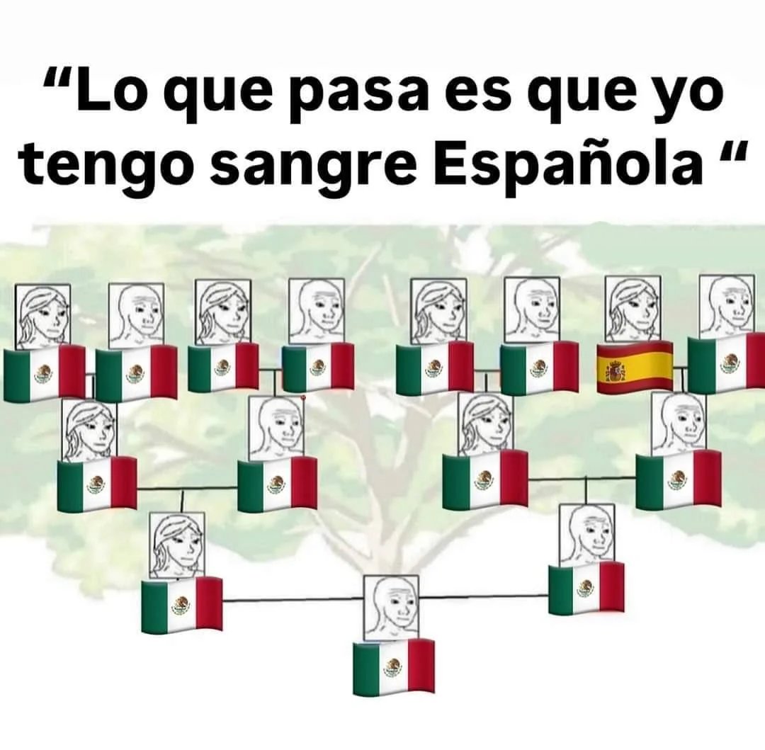 🇲🇽POVMEXICO tweet media
