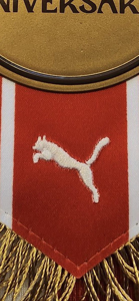 gil_3_'s tweet photo. @_ACJG_ Que pedo con el gato del banderin 🤔🤦🏻‍♂️ https://t.co/IIEUGVK1Wg