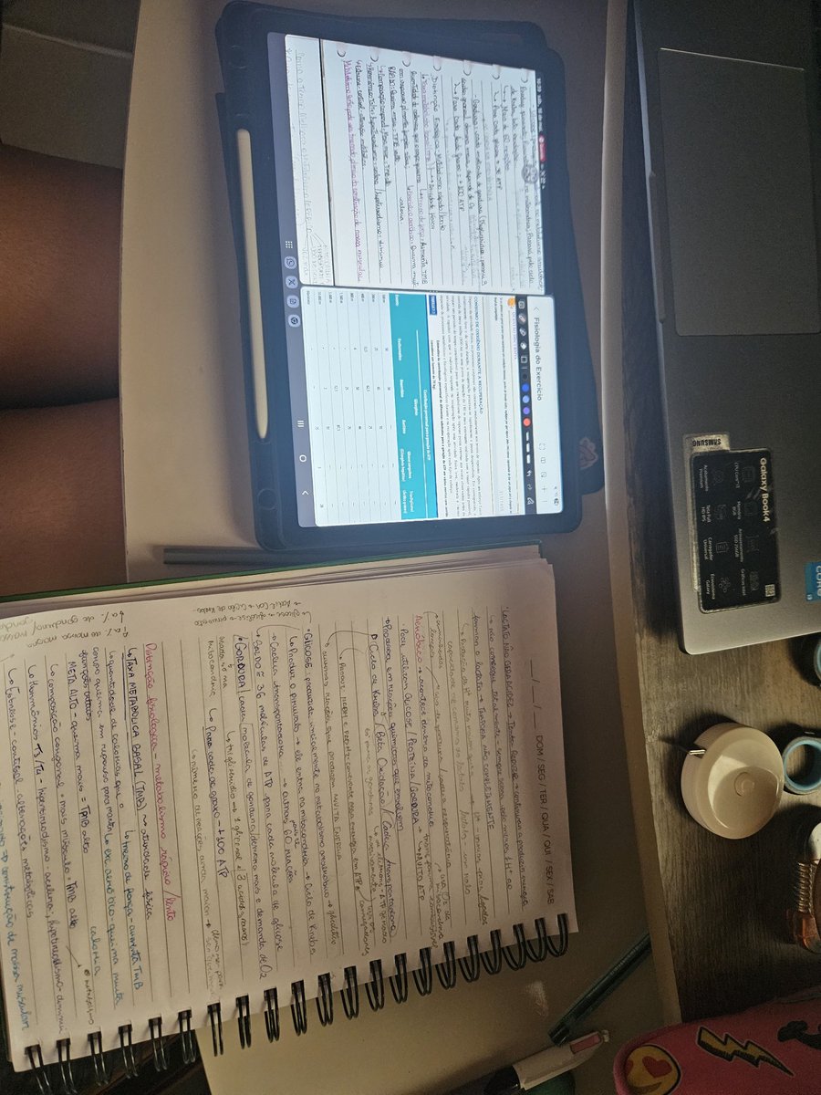 🥼 tweet media