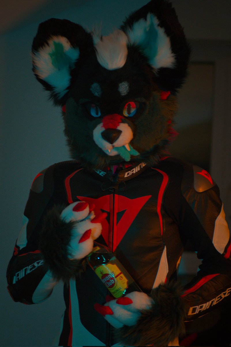 RoduskB's tweet photo. Come sit down and listen to my story

Some Netflix and chill perhaps?

Or wanna talk about your day?

I think I should prepare us some cocktails to loosen up and break the ice 🍹 

🤗
📸 @HikaruWusky (thanks again for the amazing pics!)

 #FursuitFriday #furry #dainese https://t.co/woYoDW2yRQ