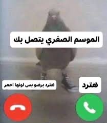 هيّاف tweet media