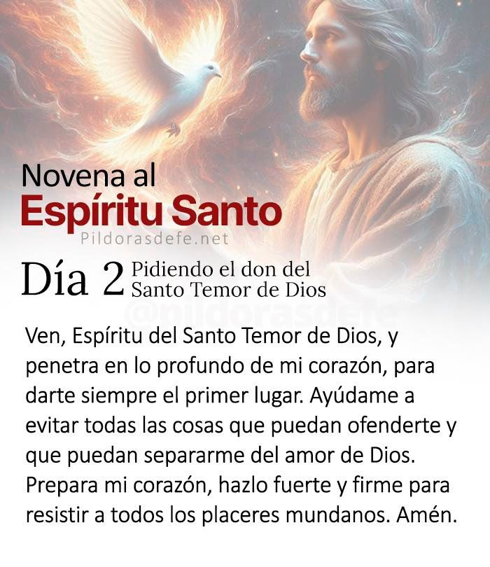 Pildorasdefe's tweet photo. 🔥 Novena de Pentecostés
Novena al Espíritu Santo

Día 2: Pidiendo el don del Santo Temor de Dios.

Oración del día 2