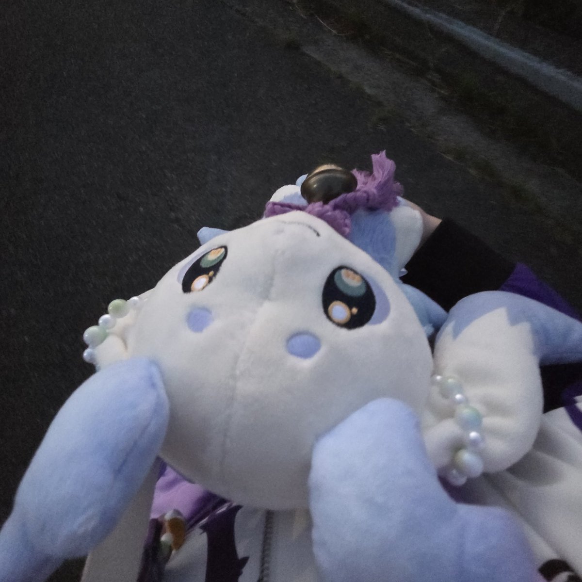 見るんるん
