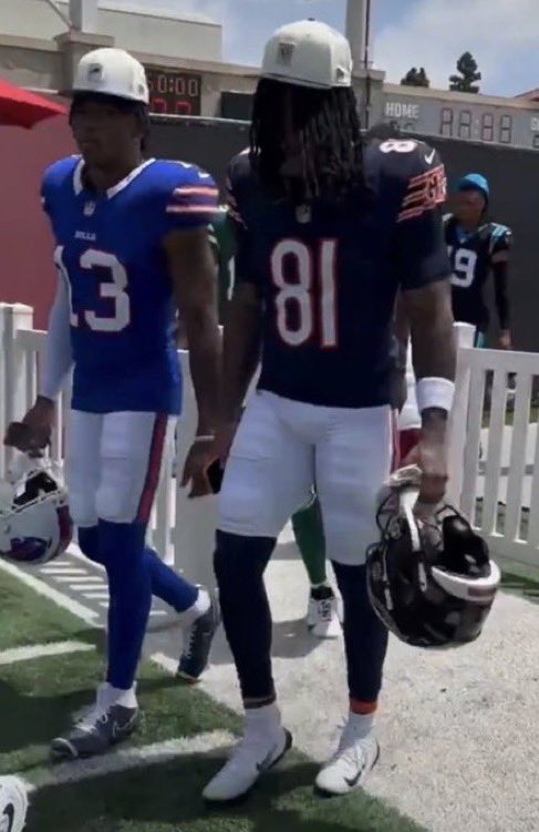 BearsShowYo tweet media