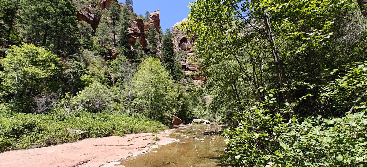 WorkingHardInIT's tweet photo. West Fork of the Oak Creek Trail , Sedona. Magnificent hike ... https://t.co/ktsgWFaJhm