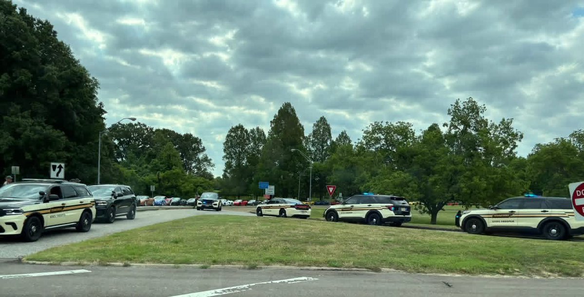 THPMemphis tweet media