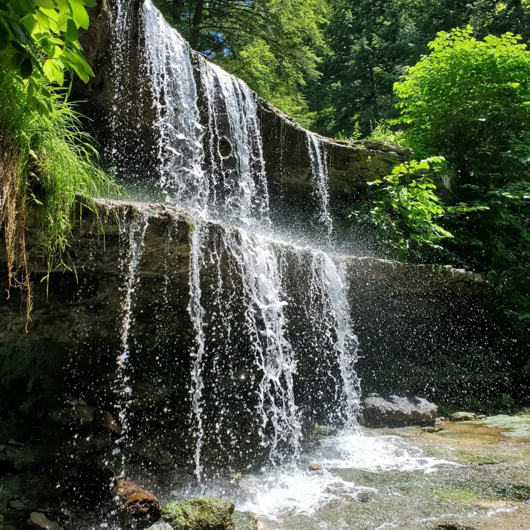 West Virginia Tourism tweet media