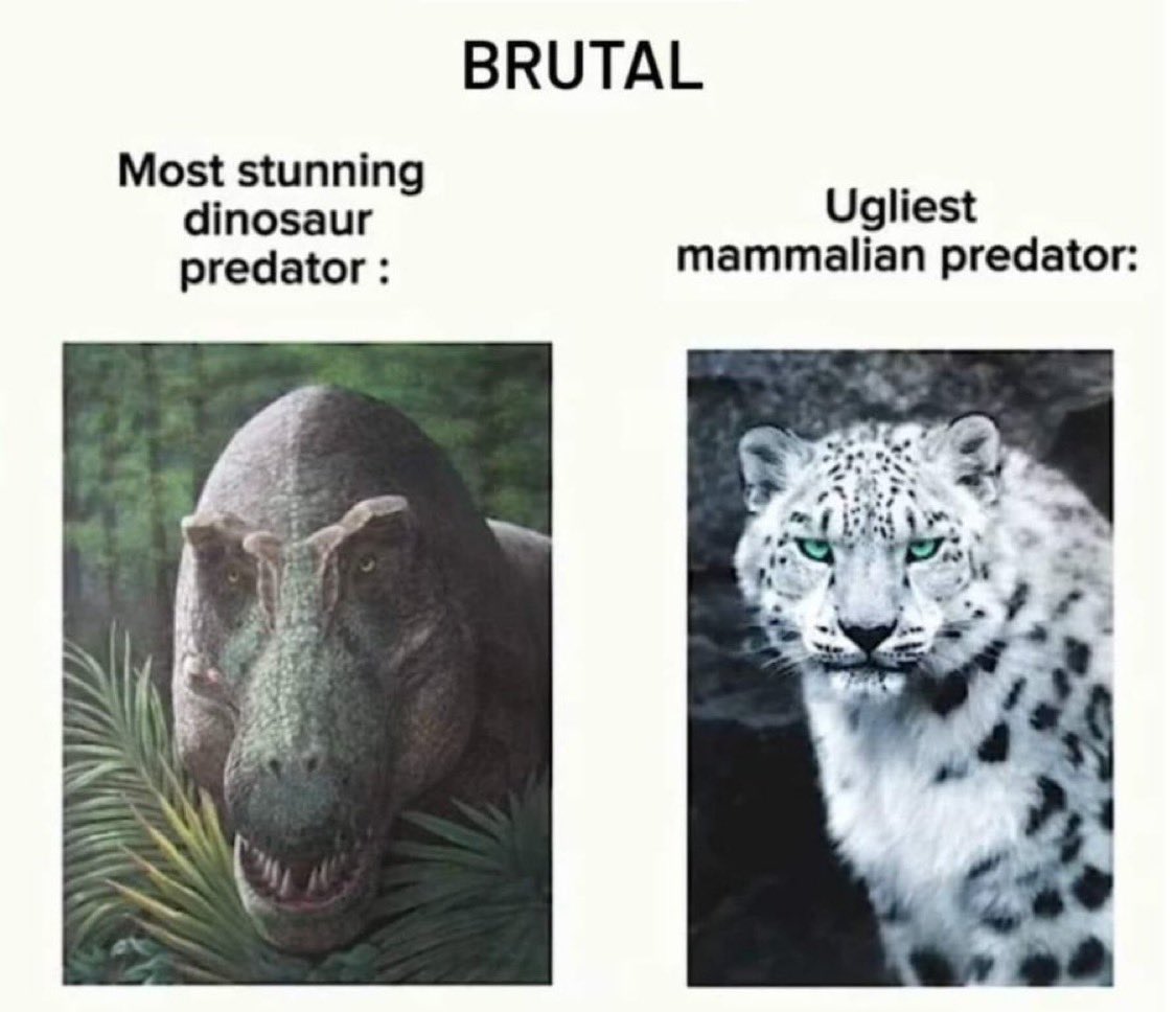 Daily Roman Updates tweet media