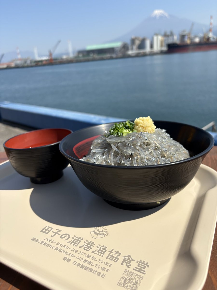 田子の浦漁協青壮年部(の中の人） tweet media
