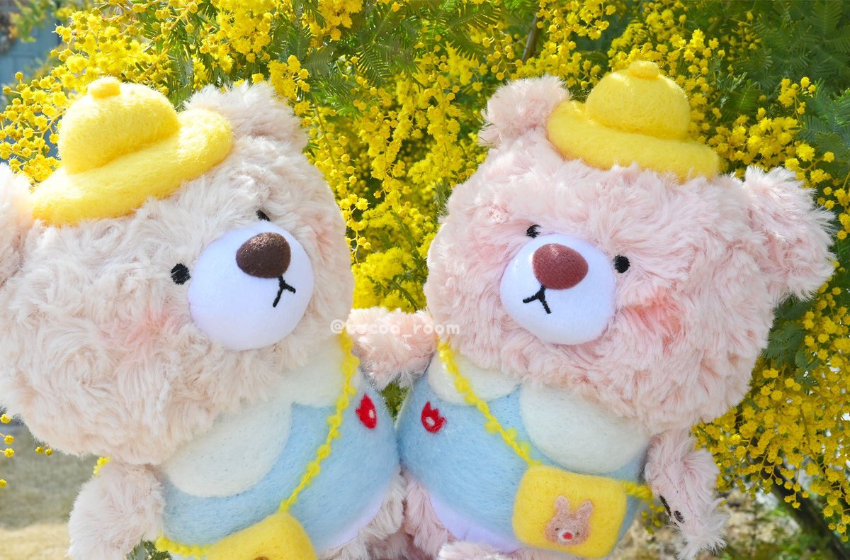 cocoaroom🧸🍞5/23デザフェスN176 (@cocoa_room) / Posts / X