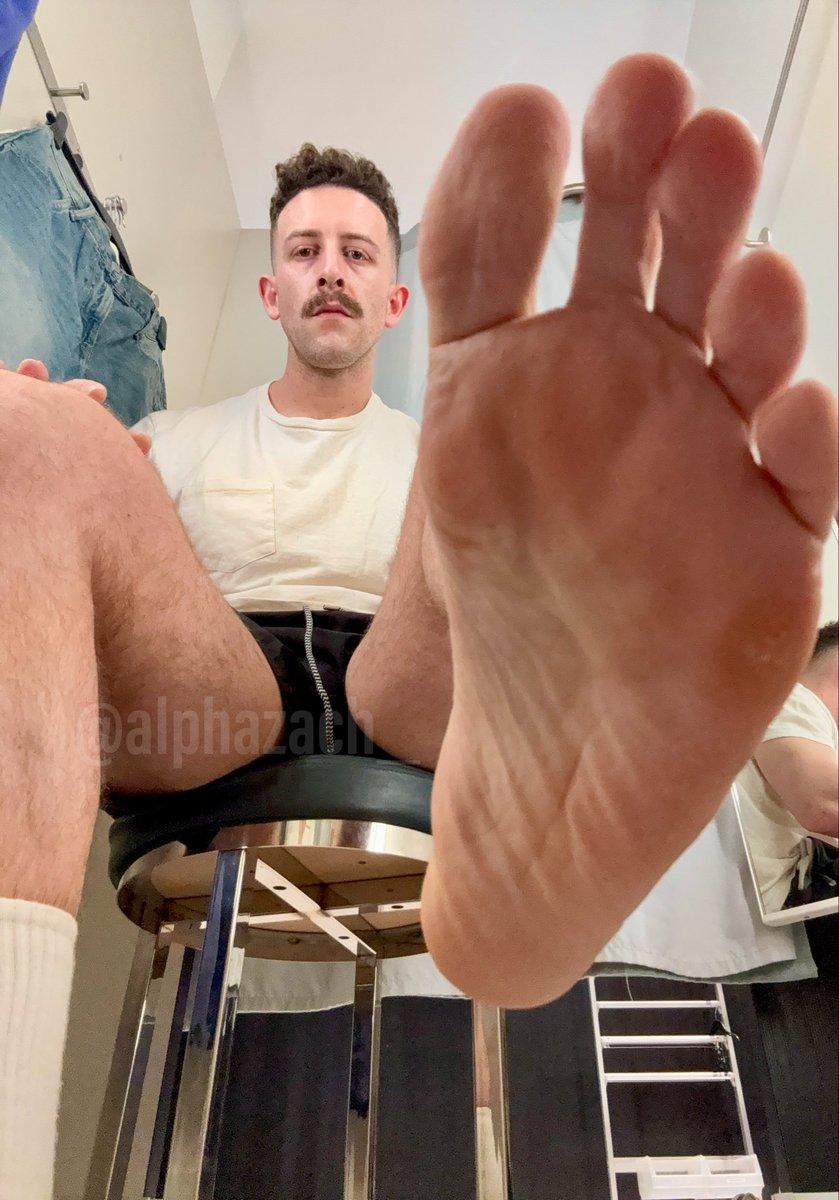 Alpha Zach tweet media