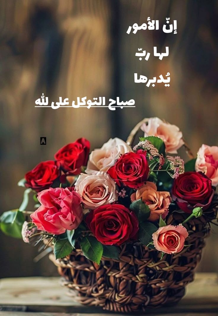 المكابيلي دمعة وابتسامة tweet media
