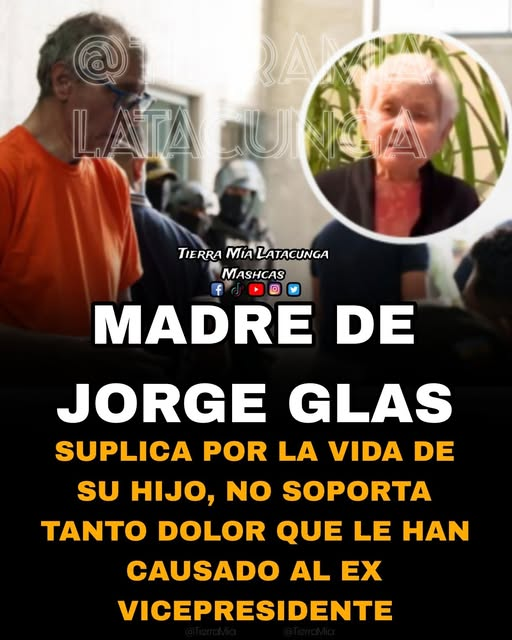 Heli Torres tweet media