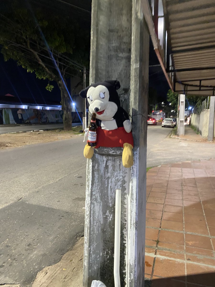 lucas tweet media