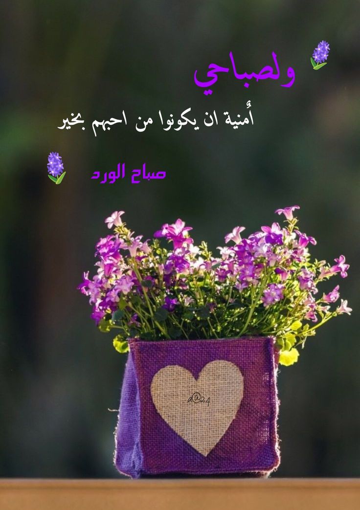المكابيلي دمعة وابتسامة tweet media