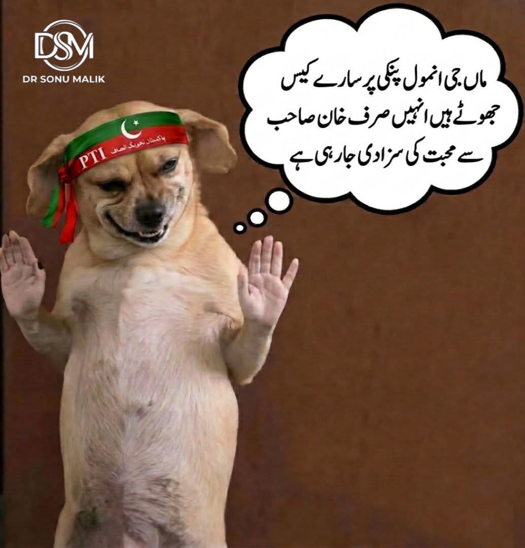 Fida Muhammad tweet media
