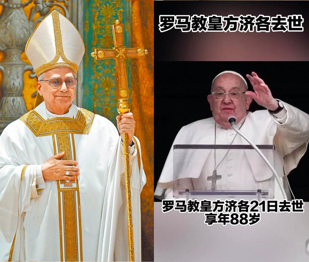 曹長青 tweet media