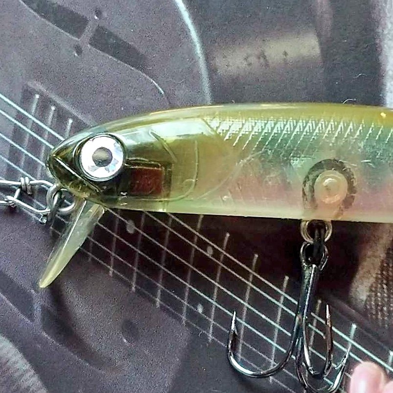 Angler X tweet media