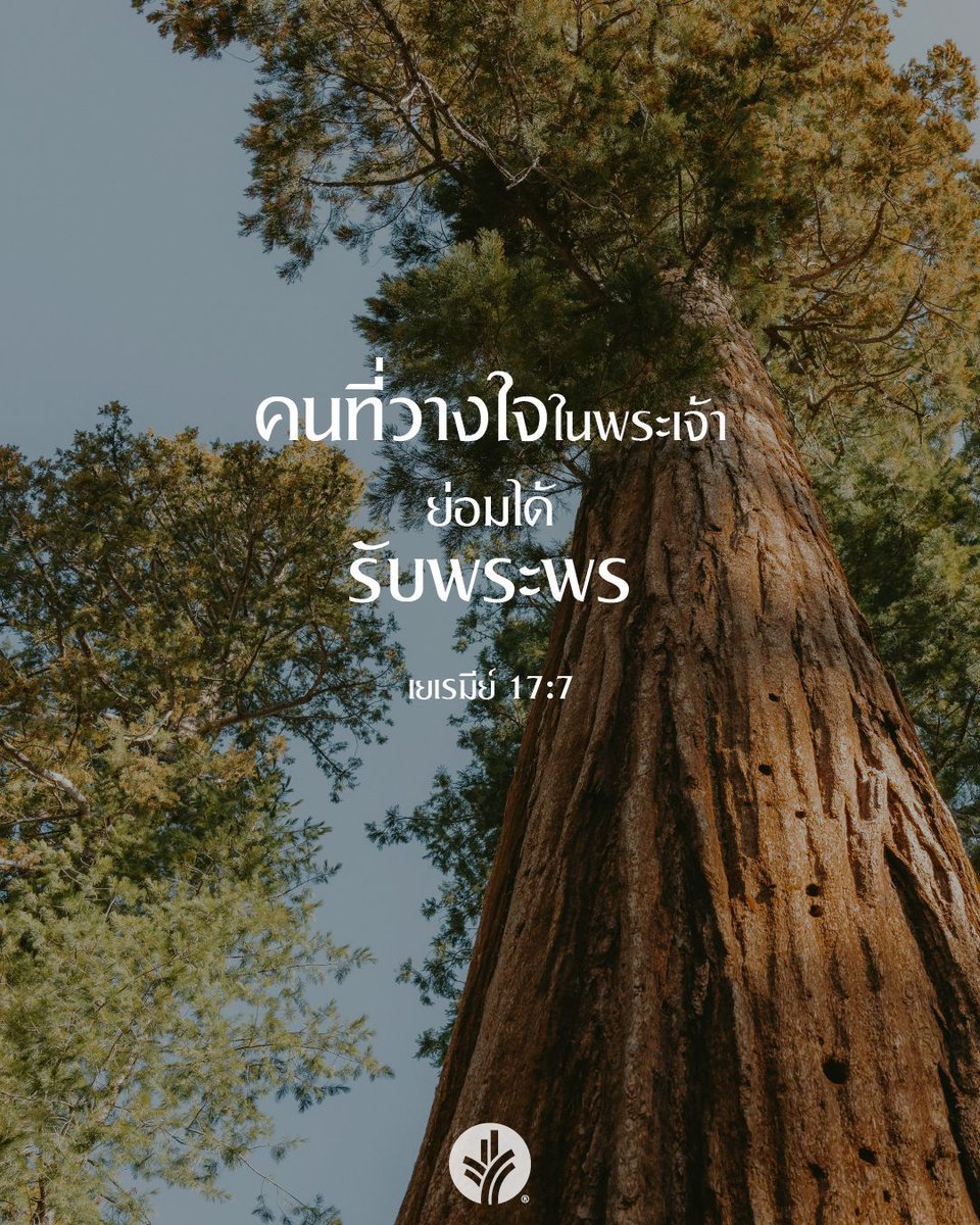 มานาประจำวัน tweet media