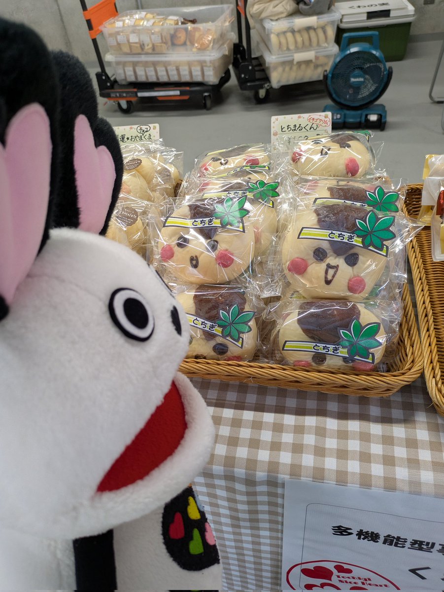 NiceHeart_TCG's tweet photo. ーSHOP2エリアにて販売チュウ📢ー
#くわの実　さん
▶とちまるくんパンがおすすめ💕
#夢の森福祉会　さん
▶チーズケーキといちごのサンドイッチがおすすめ🍓

#栃木県　#栃木県情報
#第22回栃木県障害者スポーツ大会 https://t.co/85YSzkEfTr