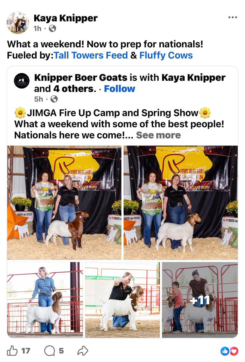 Matt Lautner tweet media