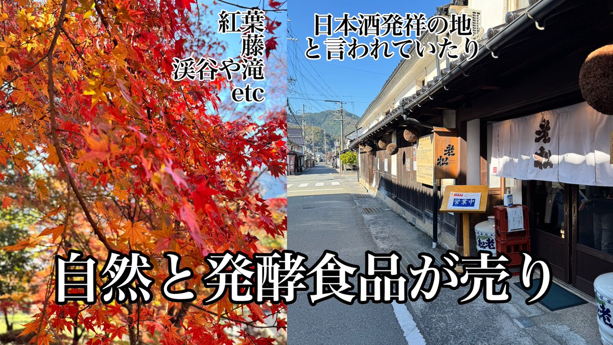 はなごろも🌸🕊🌿兵庫県から囀るVTuber tweet media