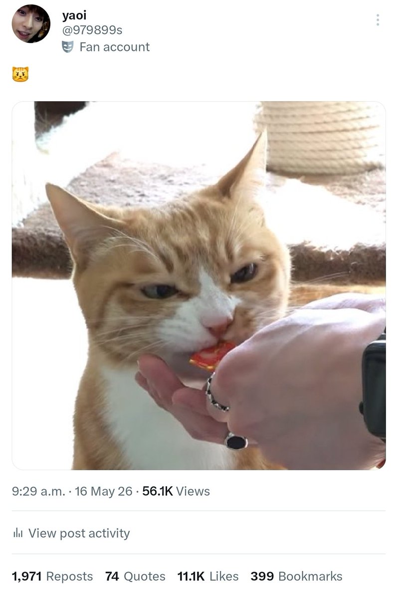 yaoi tweet media