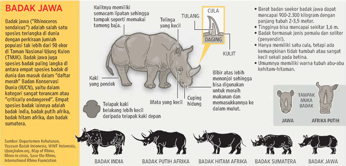 Panggil aja Purbo tweet media