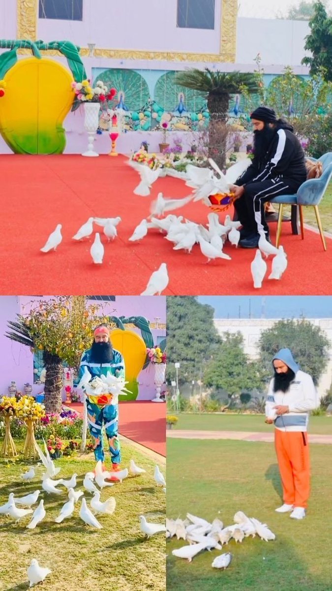 inderpreetkaur tweet media