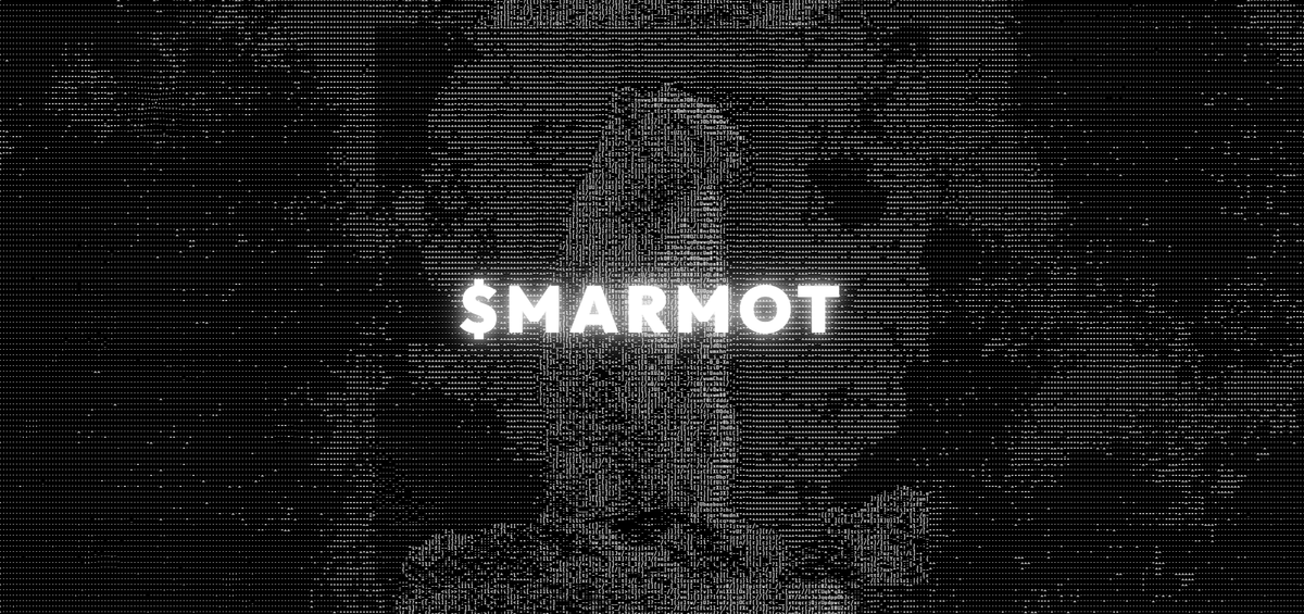 MarmotModeSOL's tweet photo. $MARMOT coin website is live.

🦫Track agentic burns
🦫Create your own Marmot Mode PFP
🦫Tune into the Marmot live stream
🦫Worship at the temple

More to come.

Marmot mode stays on.

https://t.co/ZlIqLJOAjI