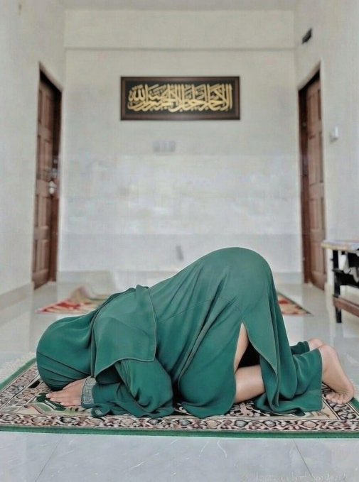 بنت امهات المومنين🕌🦋 tweet media