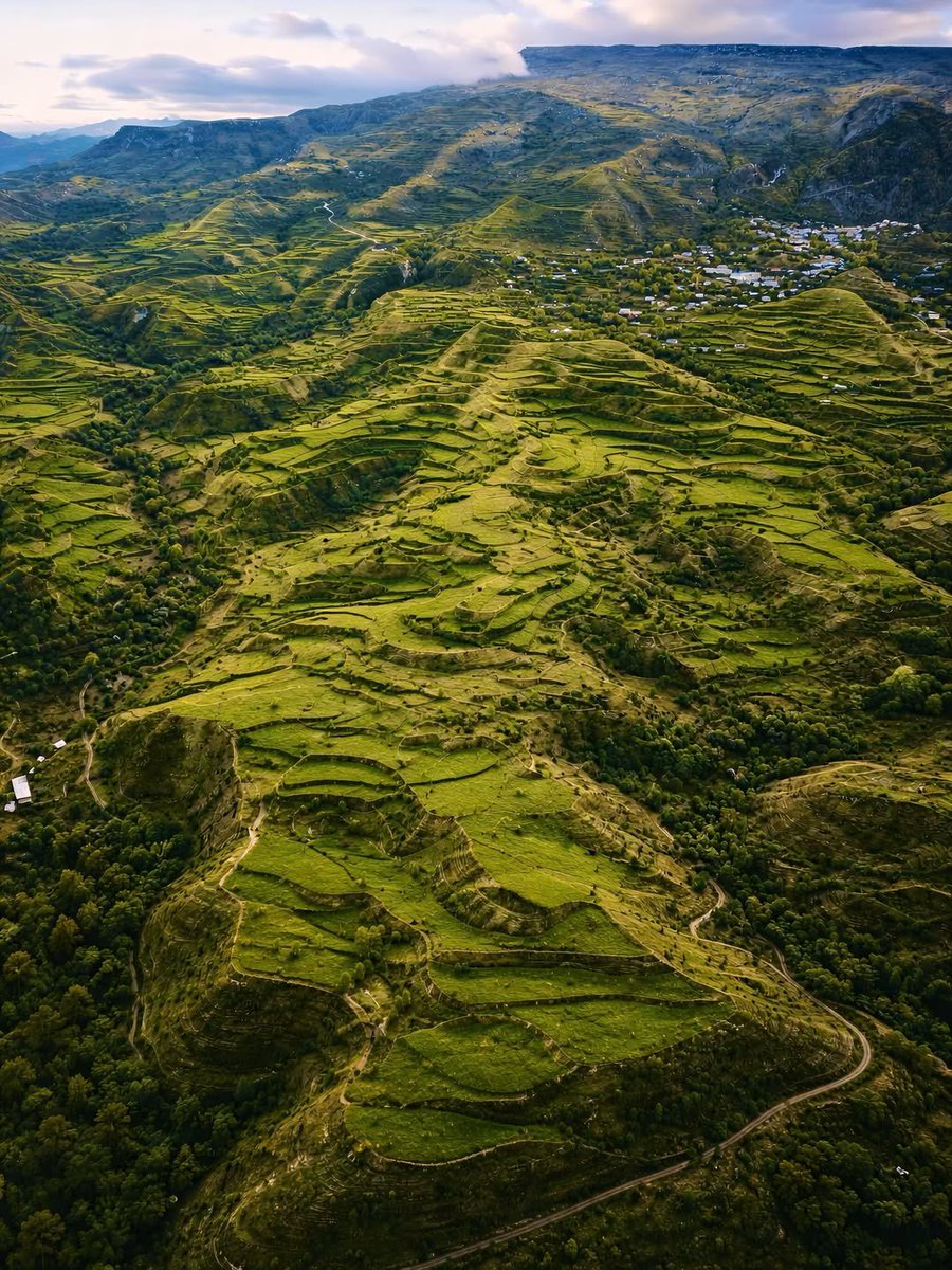PAN CAUCASUS tweet media