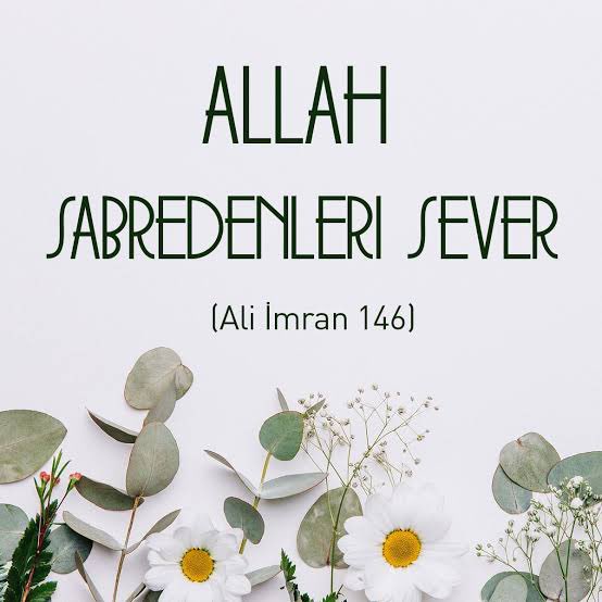 Muhammet tweet media