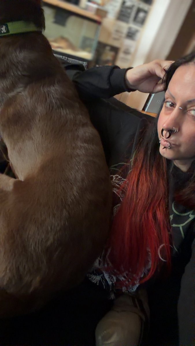 VRavenous2's tweet photo. Busy gaming and looking to get some food ordered! 

Let’s see those silent sends never stop! Link in bio. I also accept crypto. 

CanadianDomme - AltDomme - Femdom - Sadist - Humiliatrix - FinDomme - Mindfuck - Keyholder https://t.co/h5WoeirStW