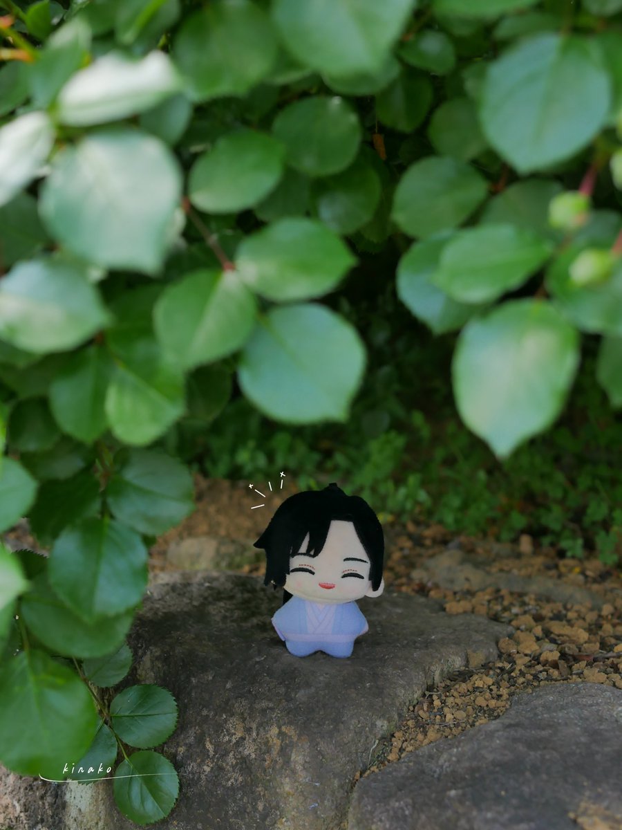 迷い込んだ先で 🌳 #MXTXぬいのいる生活 #MDZS