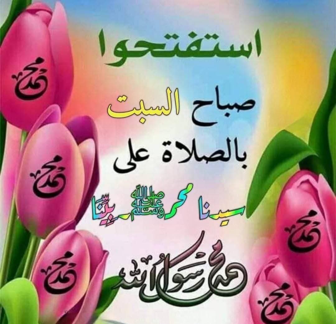 صقر الجنوب... tweet media