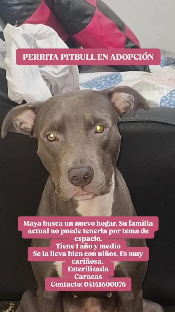 GRACE🇻🇪🆓 tweet media