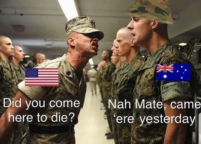 memes to save tweet media