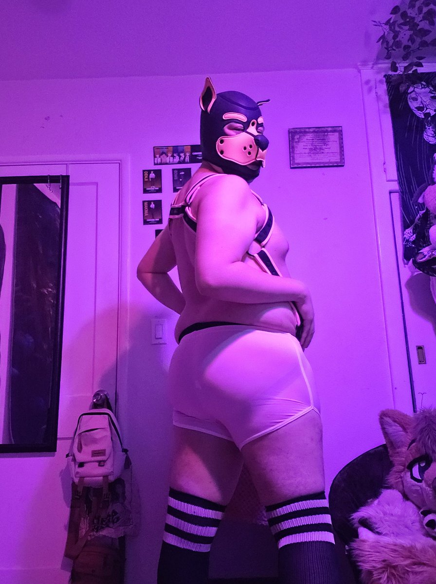 chewtoydork's tweet photo. Pup's ready for a night out~ https://t.co/dOFr4t6AxX